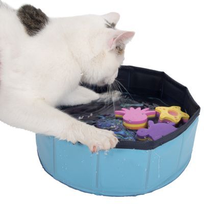 Gioco per gatti Kitty Pool - 1 pz (blu)
