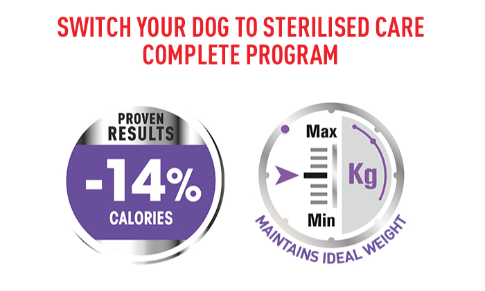 Maxi sterilised outlet royal canin