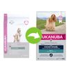 Eukanuba Adult Breed Specific Cocker Spaniel Crocchette per cani - 7,5 kg