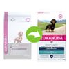 Eukanuba Adult Breed Specific Bassotto tedesco Crocchette per cani - 2,5 kg