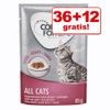 36 + 12 gratis! 48 x 85 g Concept for Life - Light in salsa