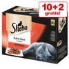 10 + 2 gratis! 12 x 85 g Sheba Variazioni Buste - Delicato in gelatina Selezione di Pollame