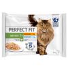 Perfect Fit Senior selezione mista - 4 x 85 g