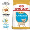 Royal Canin Chihuahua Puppy - Set %: 3 x 1,5 kg