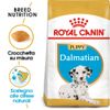 Royal Canin Dalmatian Puppy - Set %: 2 x 12 kg