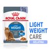 Royal Canin Ultra Light in Gelatina - 24 x 85 g