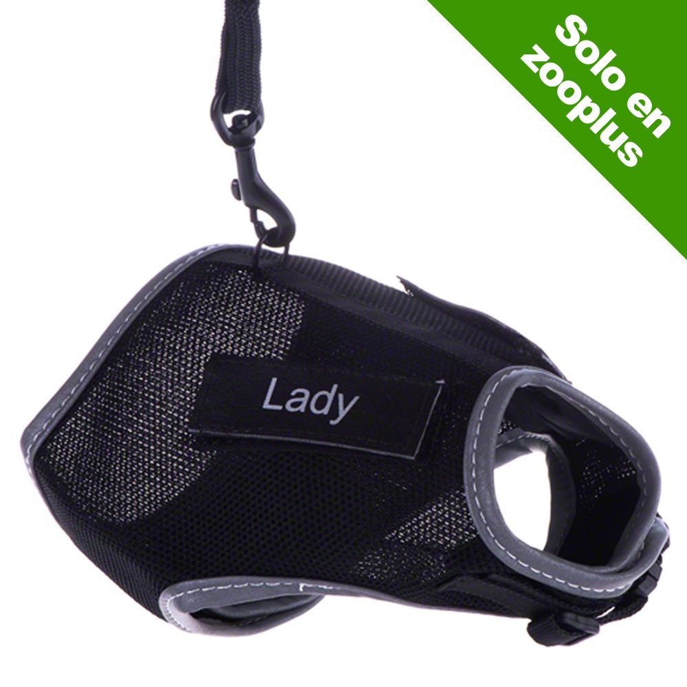 Image of Arnés Trixie XCat XL con parches y correa para gatos - Negro 04047974418956