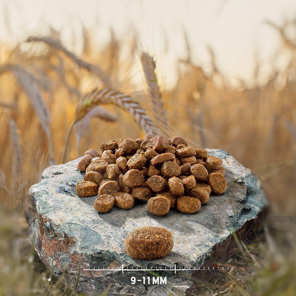 2x 6,5kg Adult Urgetreide Kabeljau Purizon Trockenfutter für Katzen