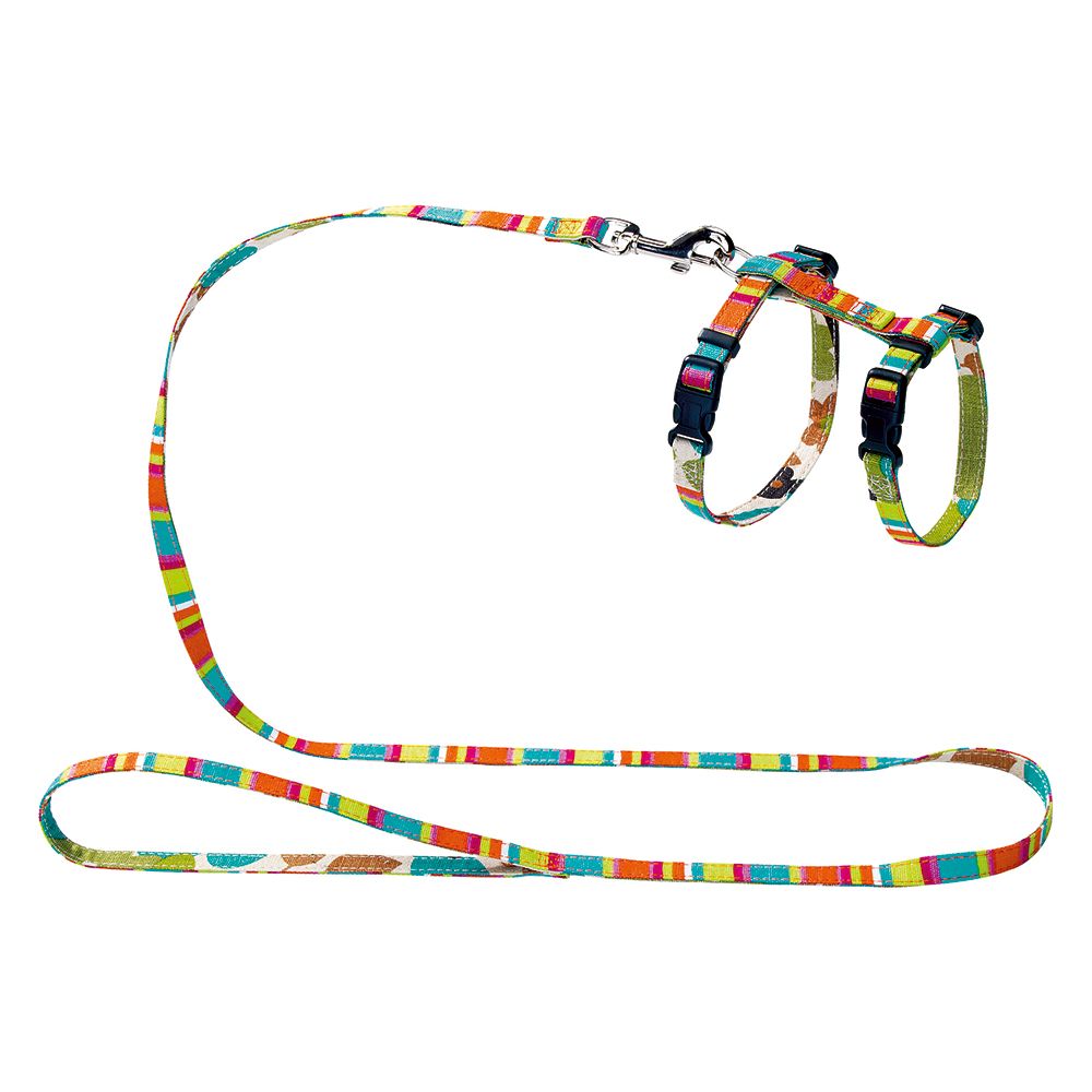 Set HUNTER: arnês + trela para gatos e cães pequenos  - Várias cores