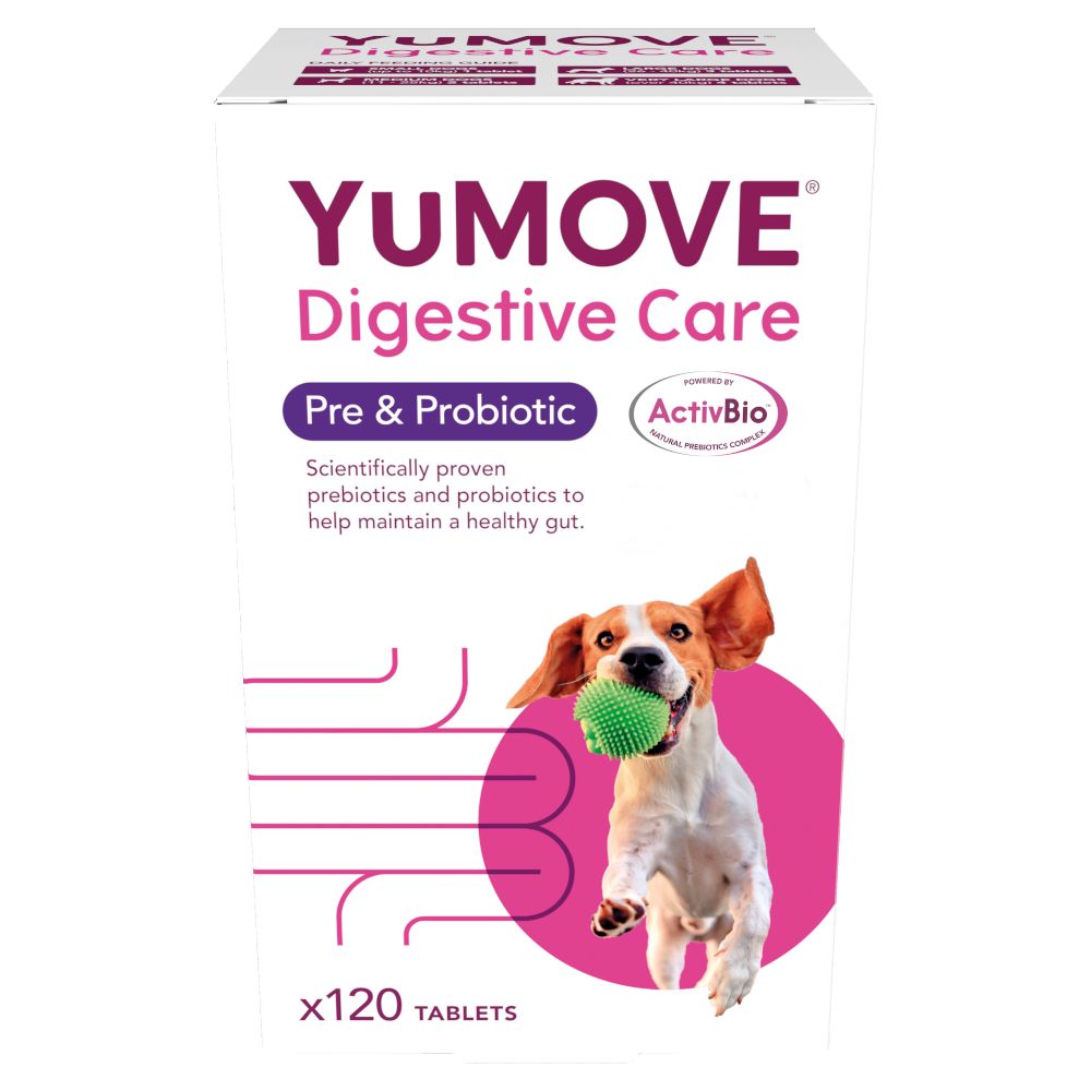 120 Tabletten Digestive Care Pre- & Probiotic YuMOVE Ergänzungsfutter für Hunde
