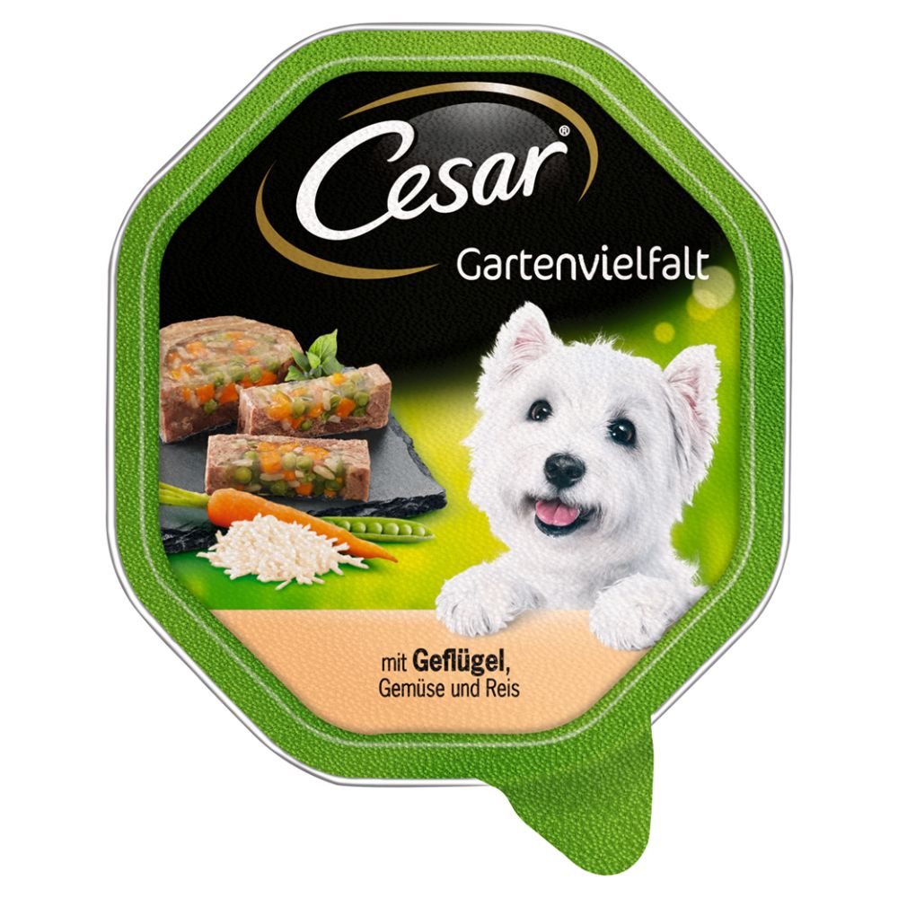 Image of Cesar Recetas de la huerta 14 x 150 g - Buey con verduras 03065890114067