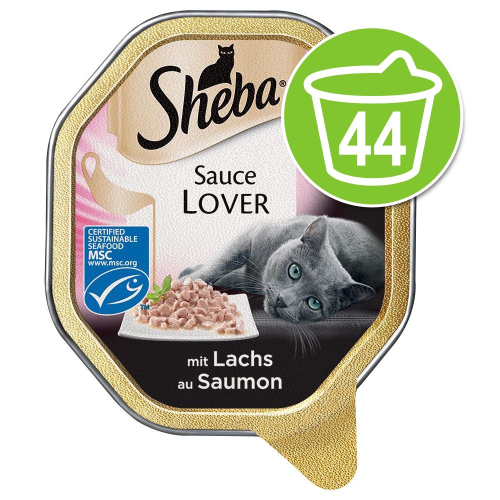 Image of Sheba 44 x 85 g en tarrinas Receta única - Megapack Ahorro - Classics - paté con cóctel de ave 04008429069734