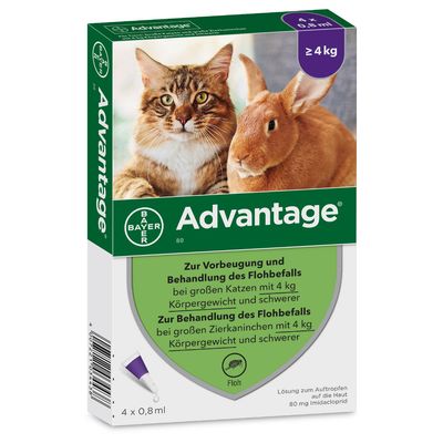 - Advantage® für Katzen und Zierkaninchen Advantage® für Katzen und Zierkaninchen