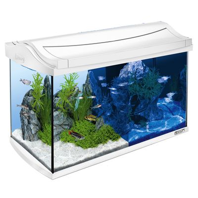Tetra Aquaart Led Aquarium Complete Set Wit tetra kopen in de aanbieding Tetra Aquaart Led Aquarium Complete Set Wit tetra kopen in de aanbieding