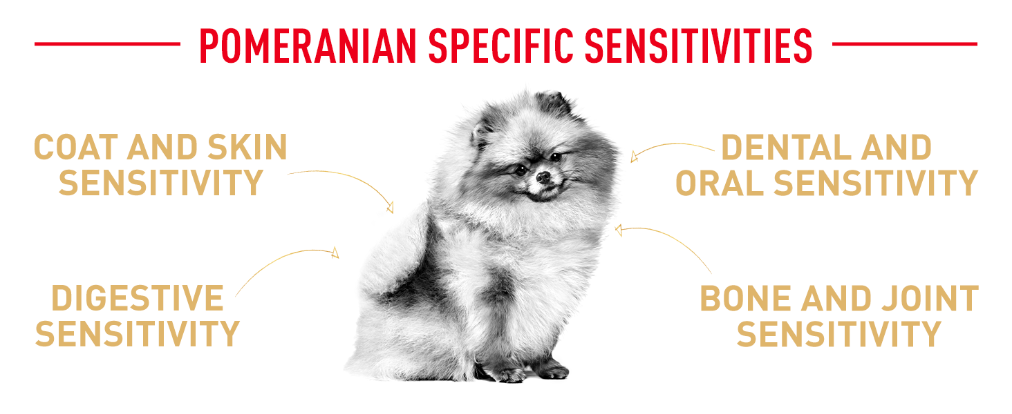 Royal Canin Breed Pomeranian