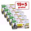 19 + 5 gratis! 24 x 85 g Almo Nature HFC Complete Pacco misto per cani - Agnello islandese con Carote + Prosciutto con Piselli