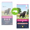 Eukanuba Caring Senior Large Breed Pollo - 15 kg