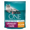 Purina ONE Urinary Care - Set %: 2 x 1,5 kg