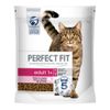 Perfect Fit Adult 1+ Ricco di Salmone - 2,8 kg