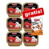 6x150g Animonda Vom Feinsten + 30 g Meat Chunks Small Tacchino Puro gratis! - Senior Senza Cereali Manzo & Pollame