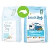 Green Petfood InsectDog ipoallergenico - 4,5 kg (5 x 900 g)