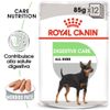 Royal Canin Digestive Care umido - 12 x 85 g