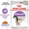 Royal Canin Sterilised in Gelatina - 24 x 85 g