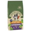 James Wellbeloved Adult Superfoods Tacchino con Kale e Quinoa per cani - Set %: 2 x 10 kg