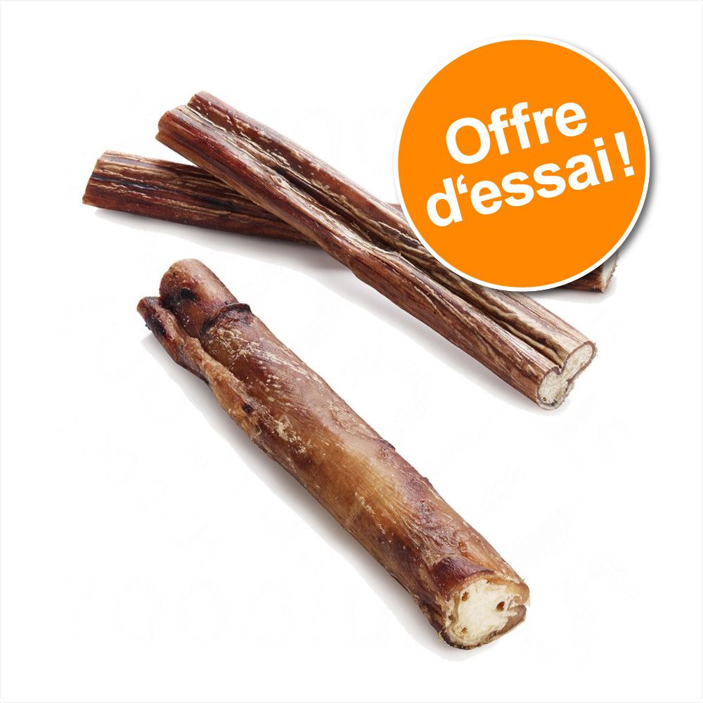 5x Cimiers de bœuf de qualité premium 18,5cm - Friandises pour chien