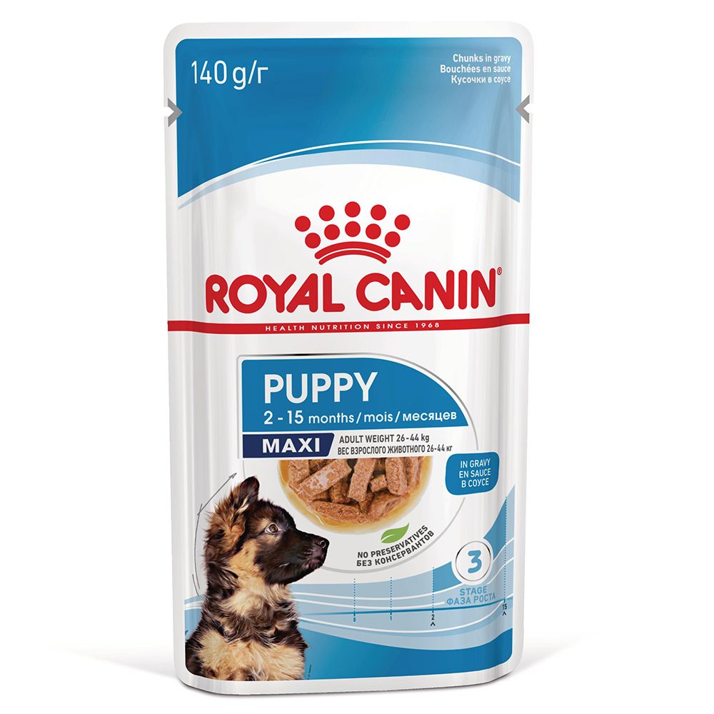 Royal Canin Maxi Puppy in Soße.- 10 x 140 g
