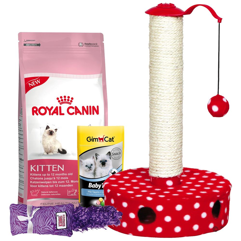 4-teiliges Kitten Starterpaket - 4-teilig