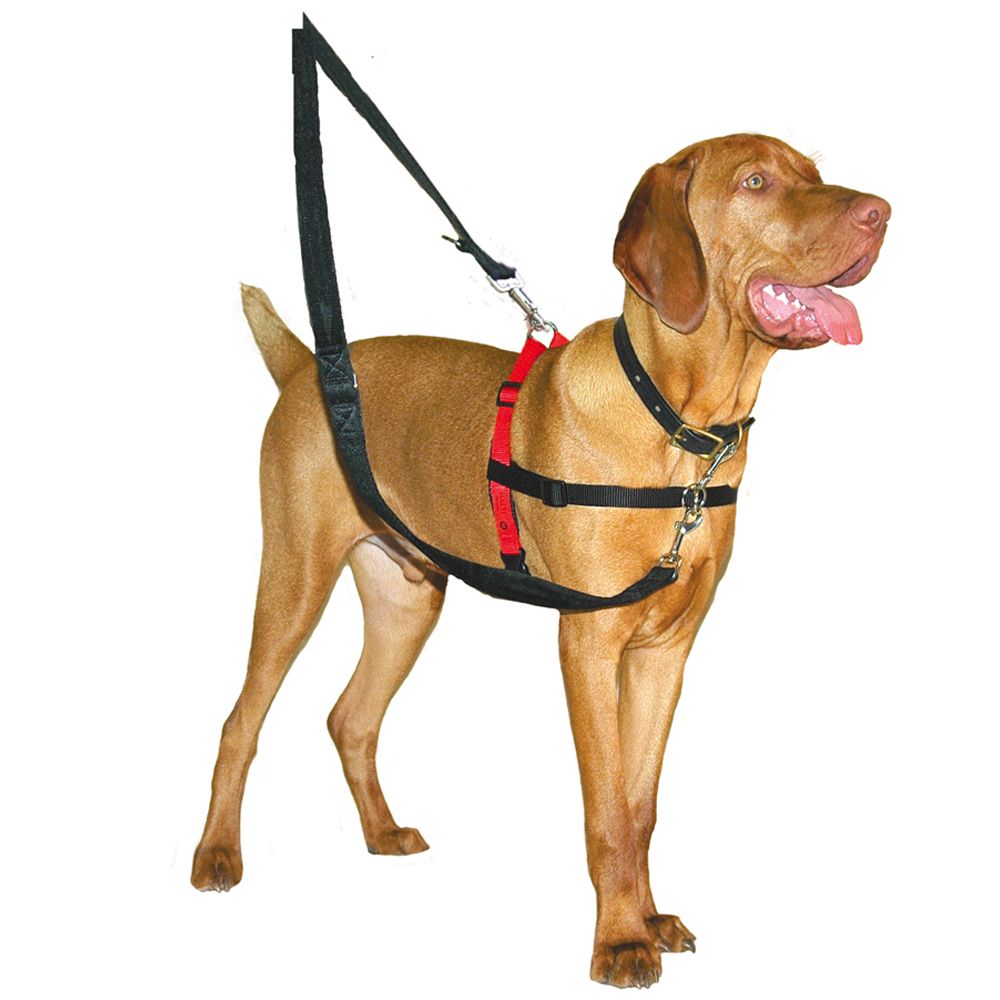 Image of Arnés antitirones HALTI para perros - Talla L: contorno del pecho 80 - 120 cm 00886284133203
