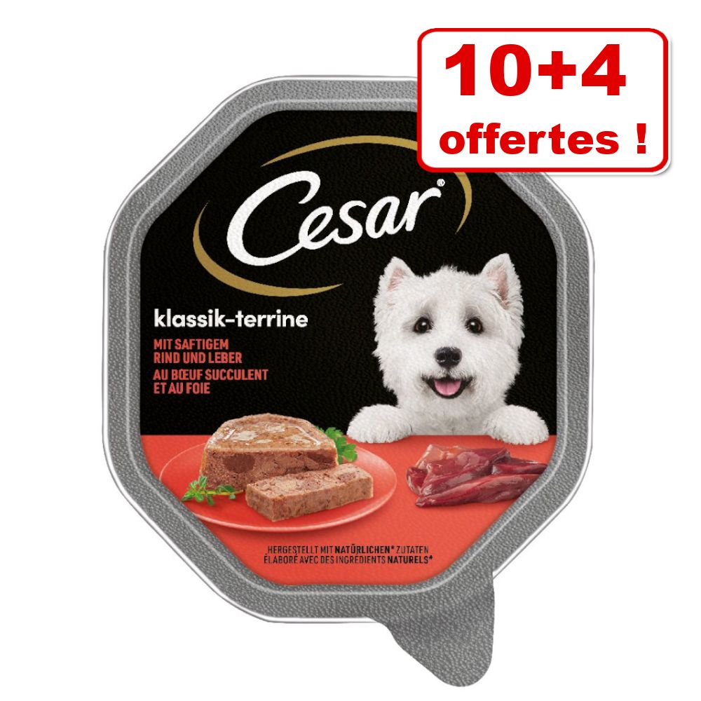 14x150g Les Classiques bœuf, foie Cesar Nourriture humide pour chien
