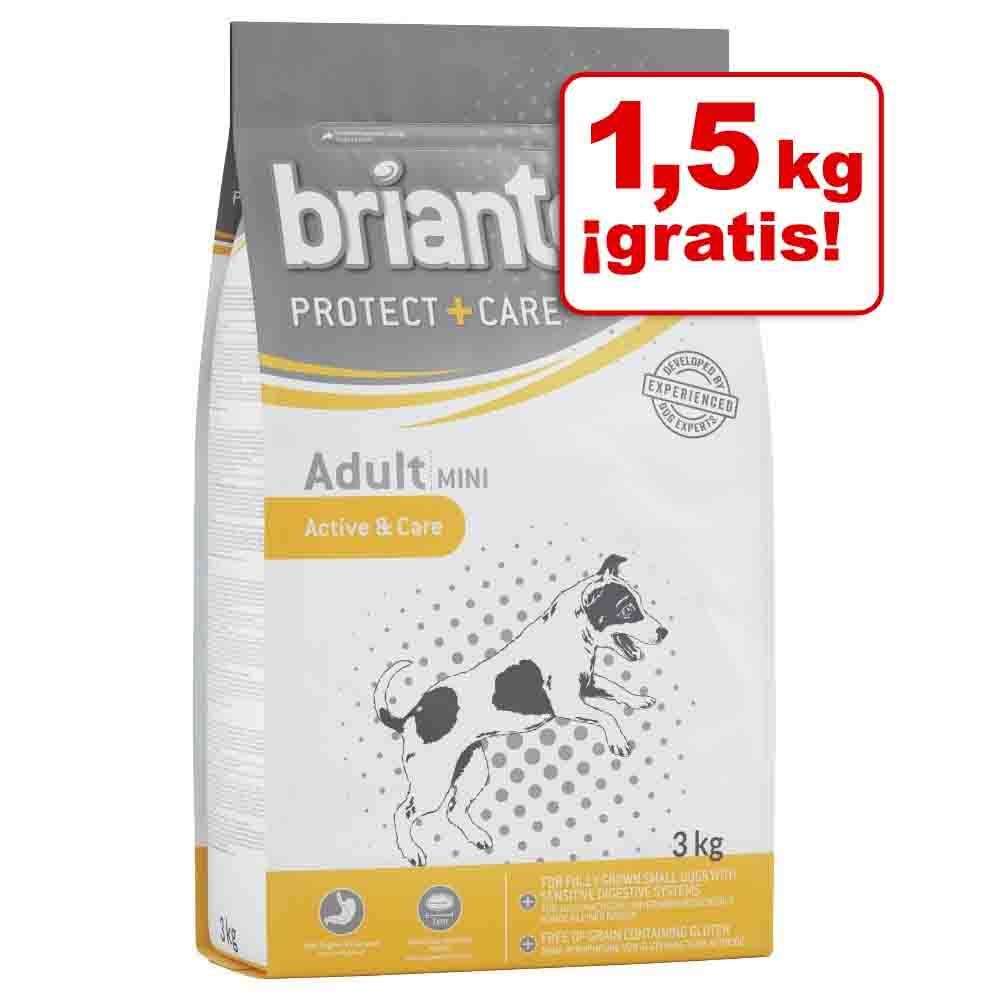 Image of Briantos Protect + Care 3 kg en oferta: 1,5 kg + 1,5 kg ¡gratis! - Adult Fit & Care 04260358511771