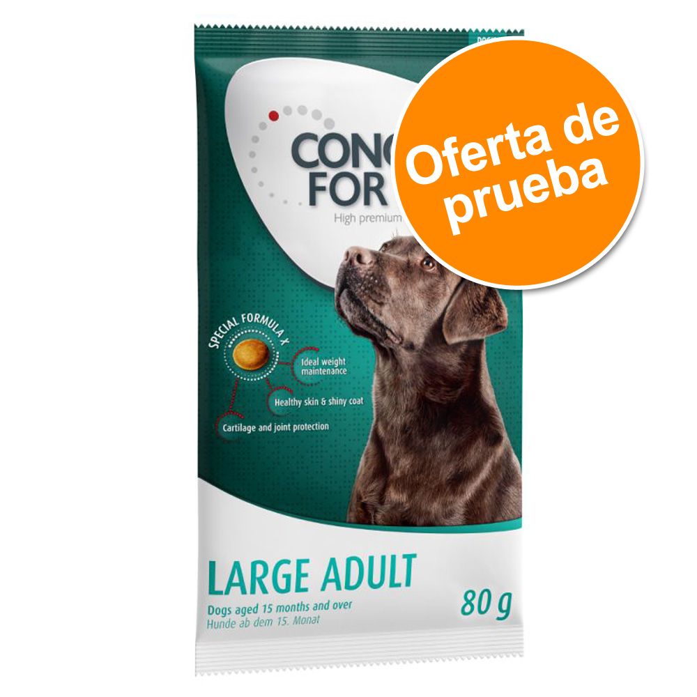 Image of Pack de prueba: Concept for Life 80 g - Mini Adult 04260358513690