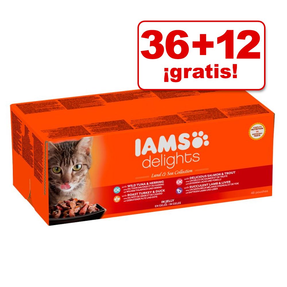 Image of IAMS Delights Adult 48 x 85 g en oferta: 36 + 12 ¡gratis! - en gelatina 08710255100395