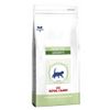 Royal Canin Pediatric Growth Vet Care - 4 kg