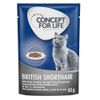 Concept for Life British Shorthair Adult (a base di pregiato ragù) - Set %: 24 x 85 g