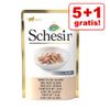 5 + 1 gratis! 6 x 85 g Schesir Buste - Tonnetto con Salmone