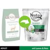 Nutro Adult 10-30 kg Agnello & Riso crocchette per cani - 1,4 kg