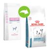 Royal Canin Skin Care Small Dog Veterinary Diet  - 4 kg