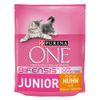 Purina ONE Junior - Set %: 3 x 800 g