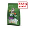 Ultima Cat + 2 o 2,5 kg gratis! - 10 kg Sterilized Salmone & Orzo