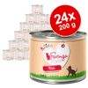 Feringa Kitten 24 x 200 g - Tacchino con Zucca ed Erba gatta