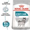 Royal Canin Maxi Joint Care - Set %: 2 x 10 kg