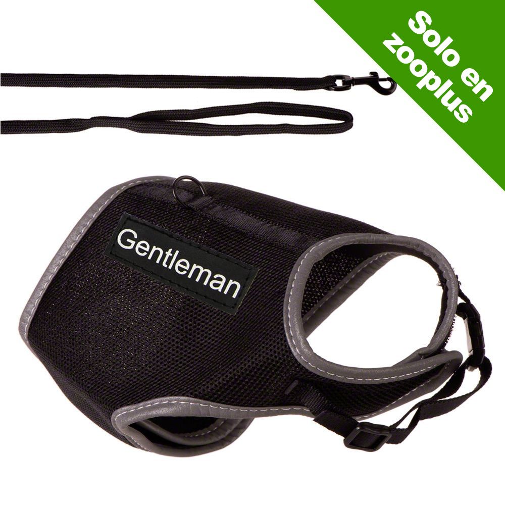 Image of Arnés Trixie XCat con parches y correa para gatos - Negro 04011905418964