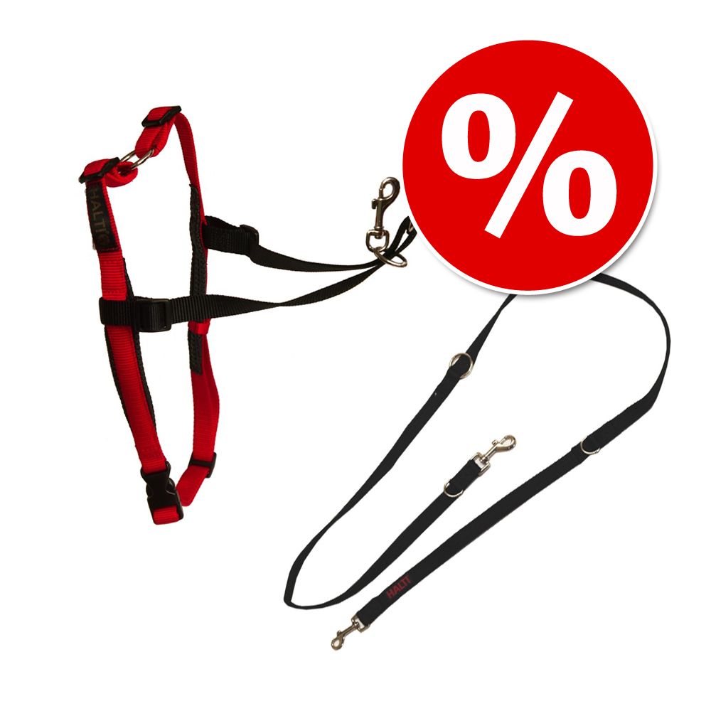 Image of Set HALTI: Arnés antitirones + correa de adiestramiento - Talla L: contorno del pecho 80 - 120 cm + correa HALTI 00886284133203