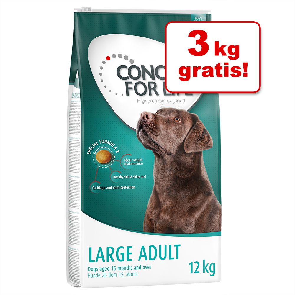 Concept for Life Hundetrockennahrung im Bonusbag - Medium Adult (12 kg + 3 kg gratis!) Concept for Life Hundetrockennahrung im Bonusbag - Medium Adult (12 kg + 3 kg gratis!)