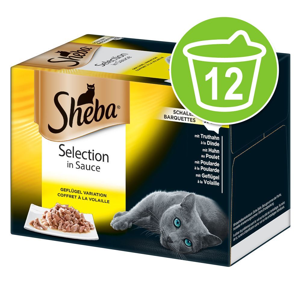 Image of Sheba 12 x 85 g en tarrinas Multireceta - Classics en paté 03065890138254
