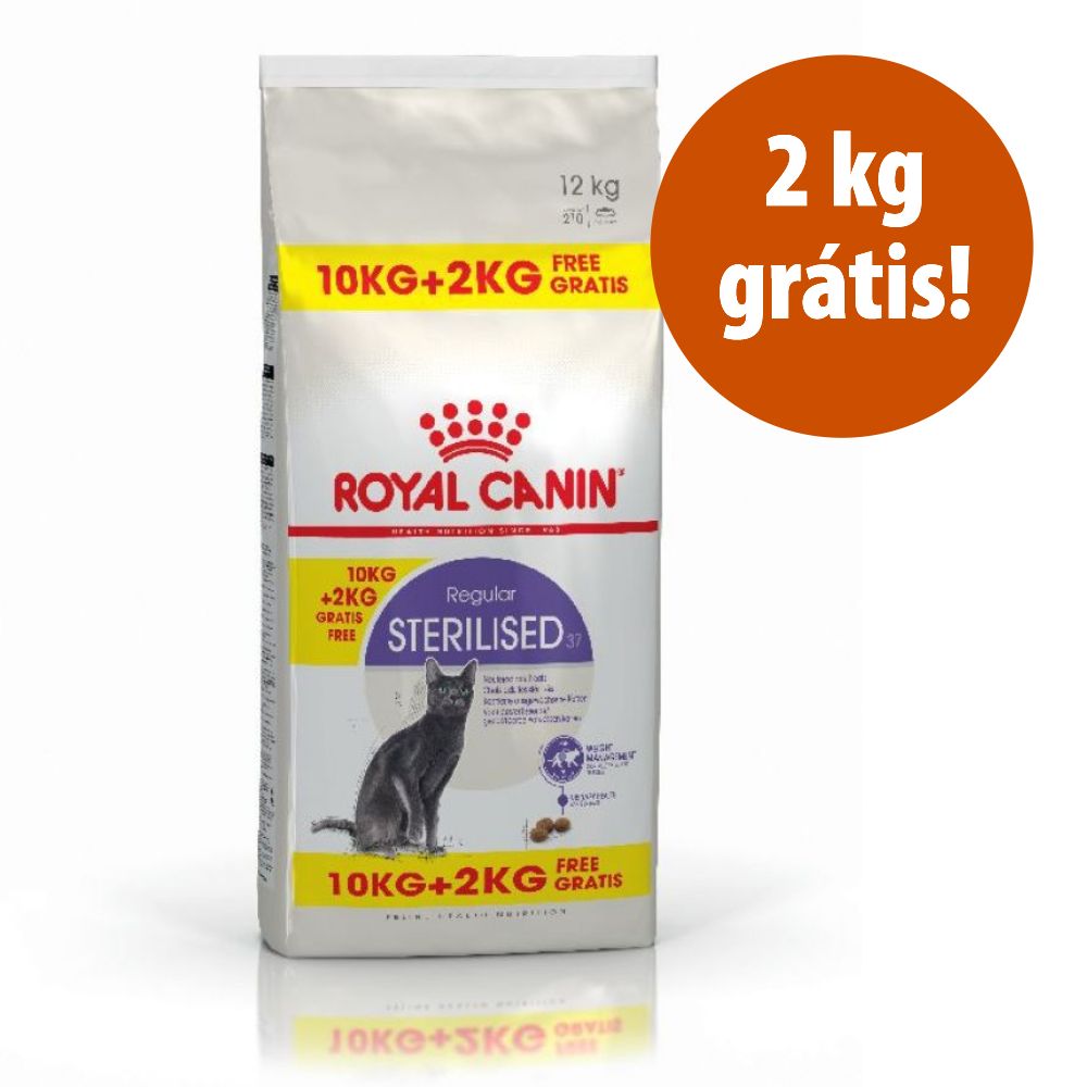 Royal Canin Feline em promoção 12 kg: 10 kg + 2 kg grátis! - Maine Coon Adult